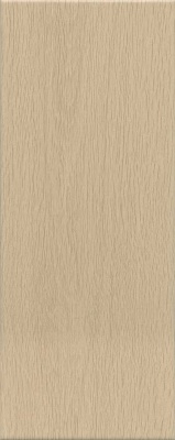 Ауленти бежевый матовый 20x50x0,8