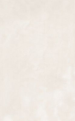 Фоскари бежевый глянцевый 25x40x0,8