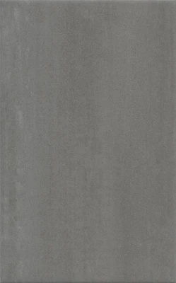 Ломбардиа серый темный матовый 25x40x0,8