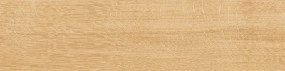 Аргания бежевый матовый 9,9x40,2x0,8