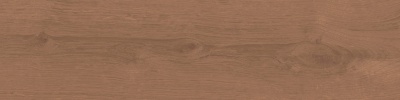 Аргания коричневый матовый 9,9x40,2x0,8