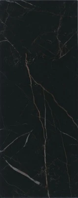Алькала черный глянцевый 20x50x0,8
