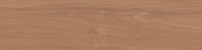 Аргания коричневый матовый 9,9x40,2x0,8
