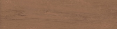 Аргания коричневый матовый 9,9x40,2x0,8