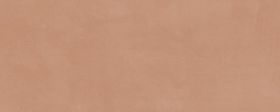 Каннареджо оранжевый матовый 20x50x0,8