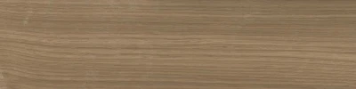 Аргания бежевый тёмный матовый 9,9x40,2x0,8