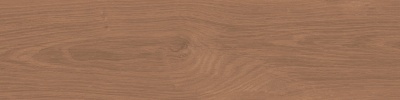 Аргания коричневый матовый 9,9x40,2x0,8