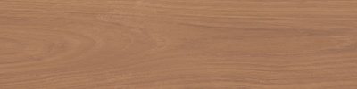 Аргания коричневый матовый 9,9x40,2x0,8