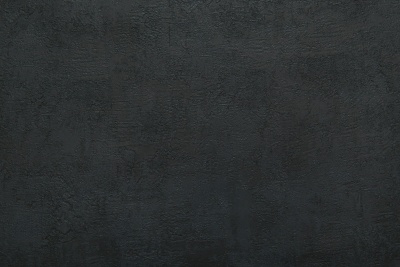 Обои виниловые на флизелиновой основе на флизелиновой основе Трофи база, чёрный