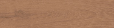 Аргания коричневый матовый 9,9x40,2x0,8
