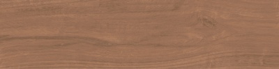 Аргания коричневый матовый 9,9x40,2x0,8